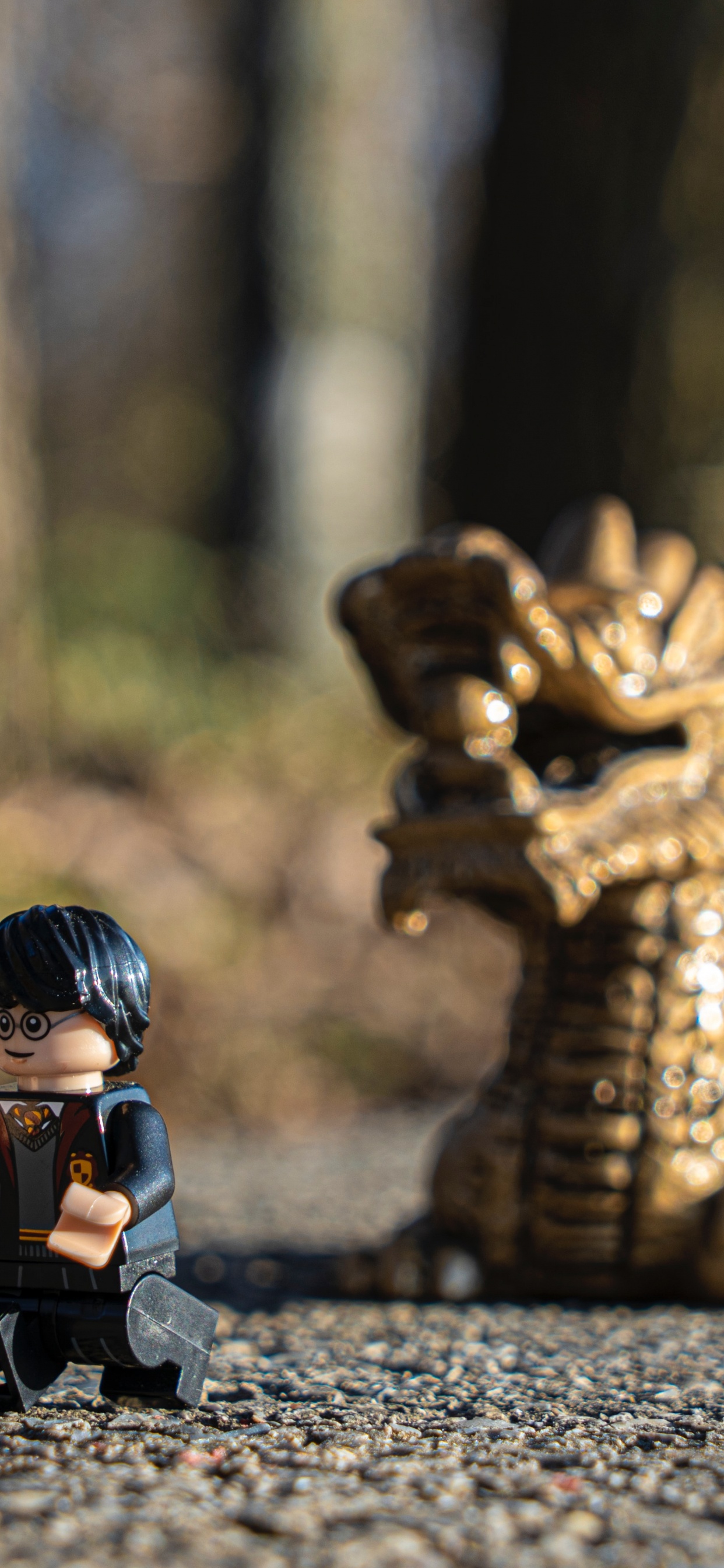 Juegos de Lego Harry Potter, Lego, Harry Potter, Madera, Asfalto. Wallpaper in 1242x2688 Resolution