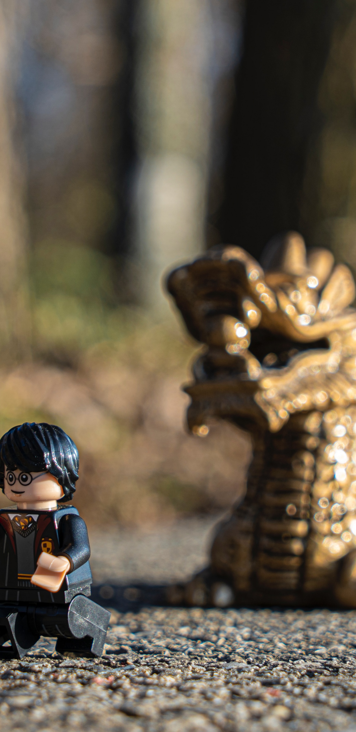 Juegos de Lego Harry Potter, Lego, Harry Potter, Madera, Asfalto. Wallpaper in 1440x2960 Resolution