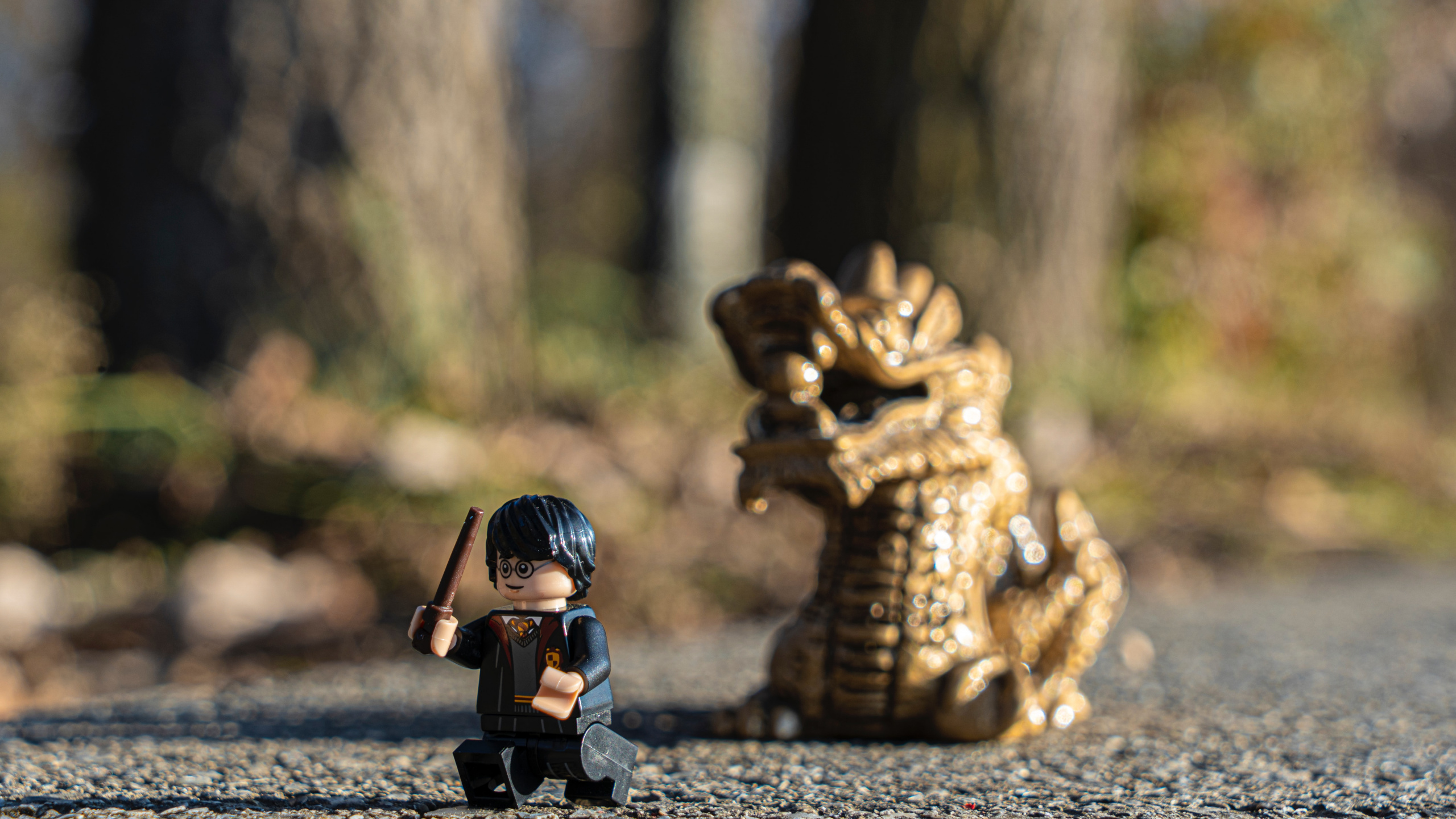 Lego Harry Potter Sets, LEGO, Harry Potter, Spielzeug, Holz. Wallpaper in 2560x1440 Resolution