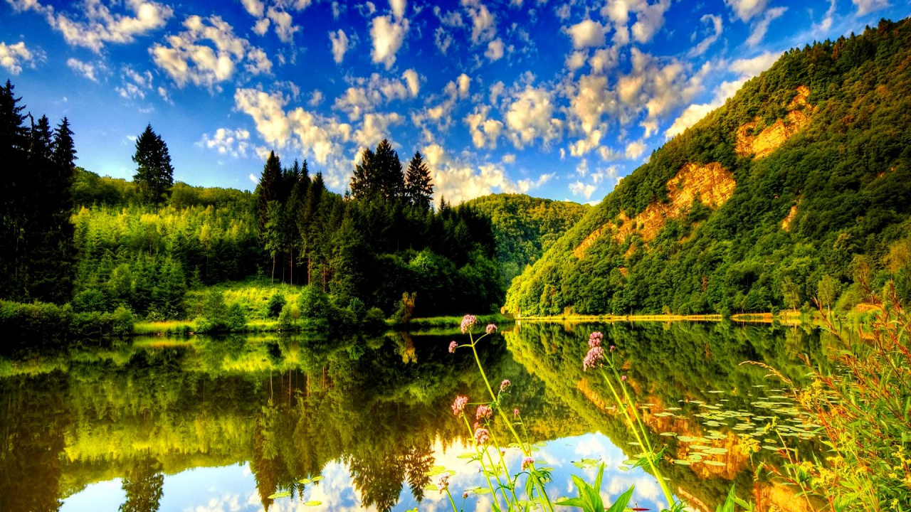 Árboles Verdes Junto al Lago Bajo un Cielo Azul Durante el Día. Wallpaper in 1280x720 Resolution