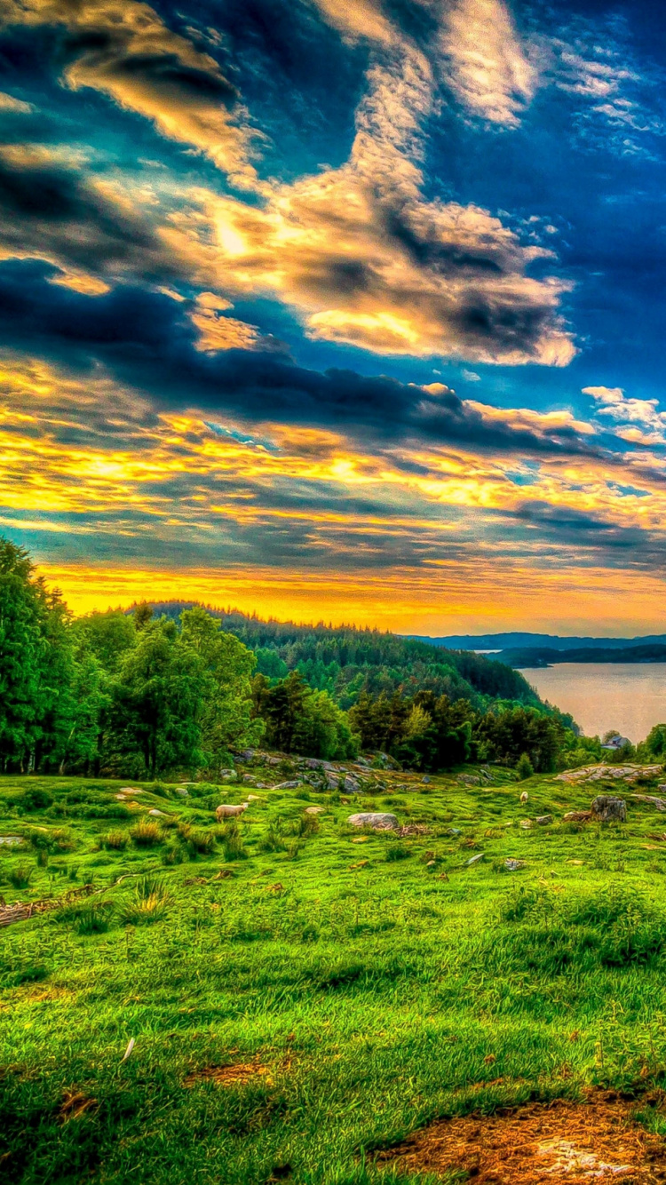 Tagsüber Grüne Wiese Unter Blauem Himmel. Wallpaper in 750x1334 Resolution