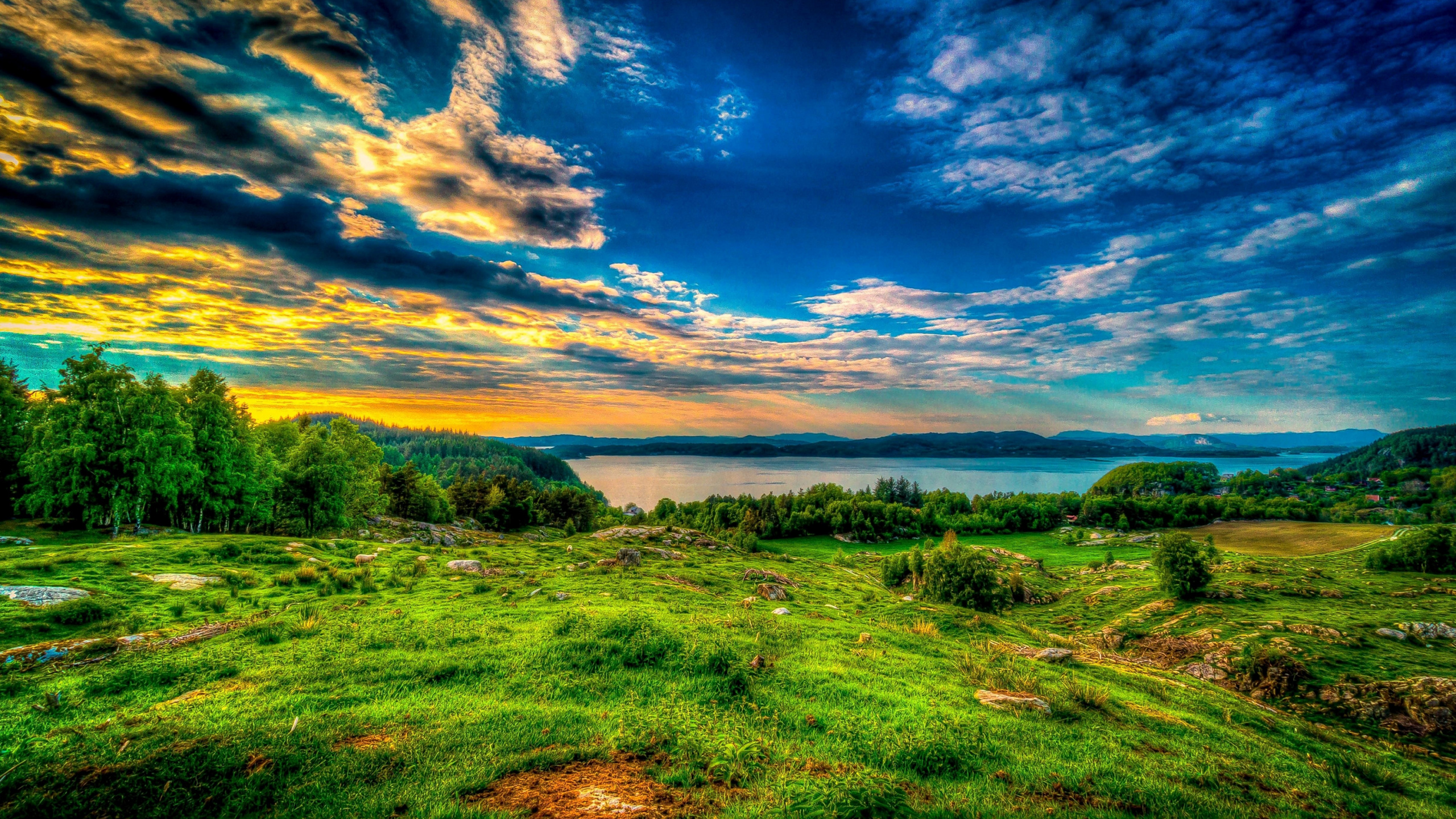 Champ D'herbe Verte Sous Ciel Bleu Pendant la Journée. Wallpaper in 2560x1440 Resolution