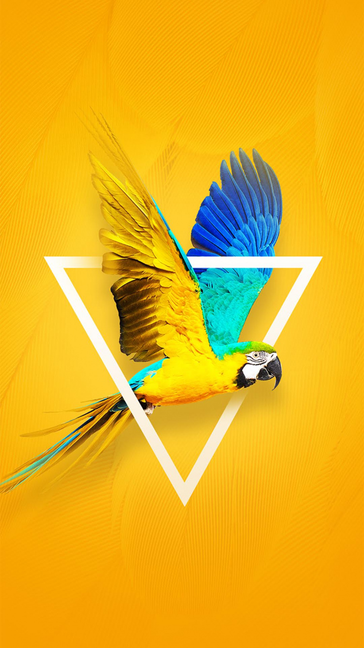 Tecno, Tecno Camon X, Apples, Android, Blue. Wallpaper in 750x1334 Resolution