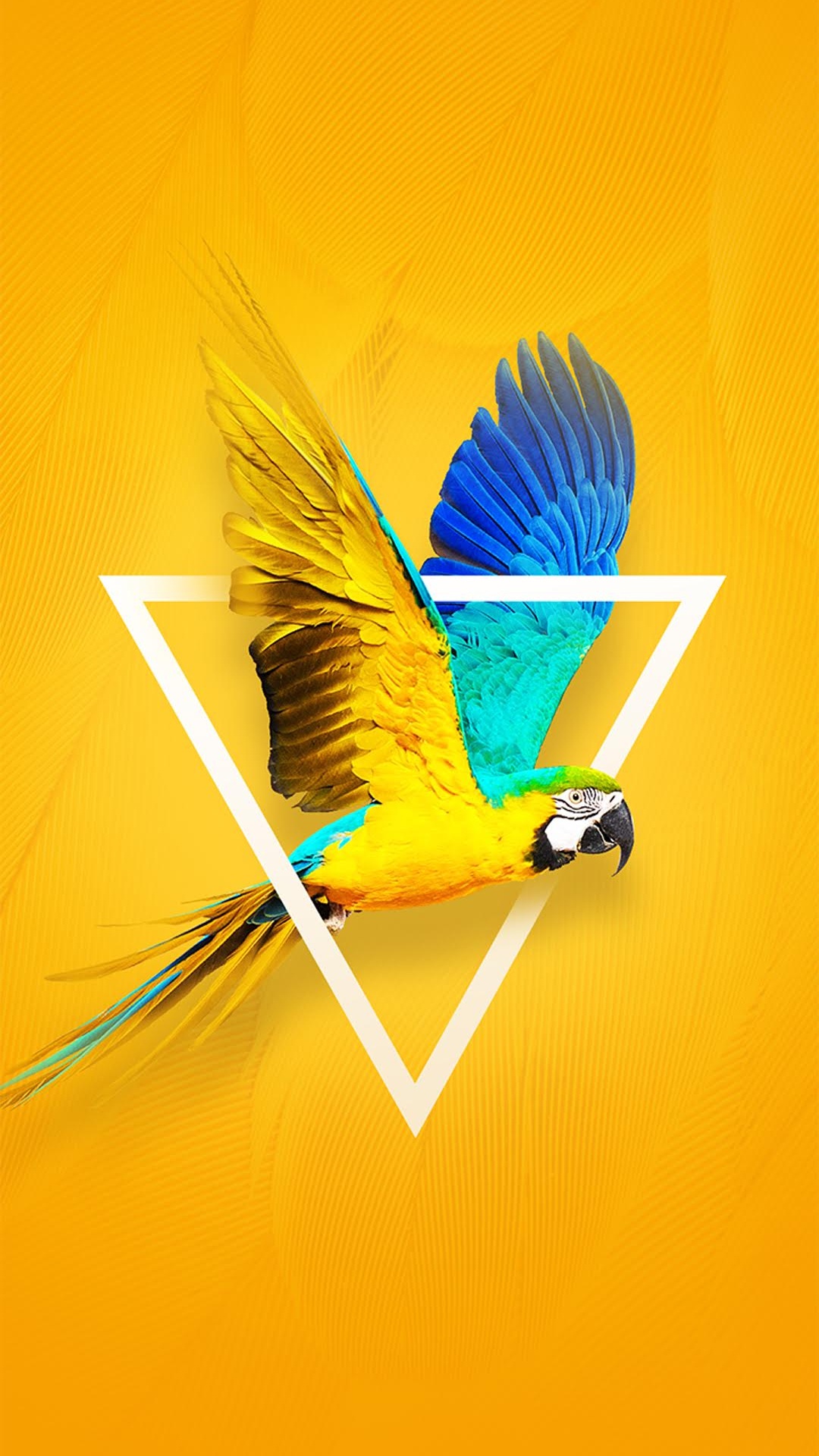 Tecno, Tecno Camon X, 苹果, 安卓, 黄色的 壁纸 1080x1920 允许