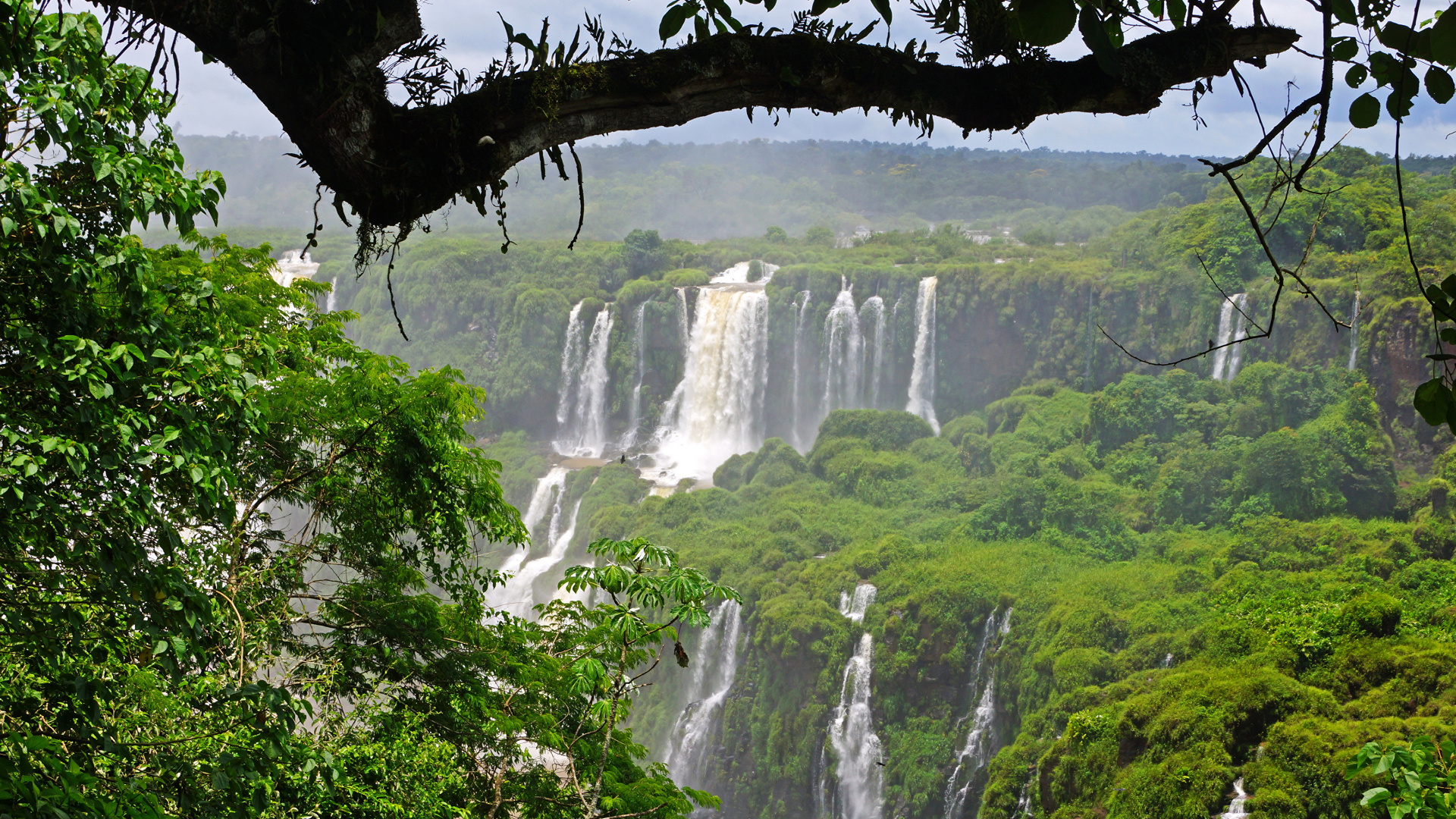 Waterfalls in The Middle of The Forest. Wallpaper in 1920x1080 Resolution
