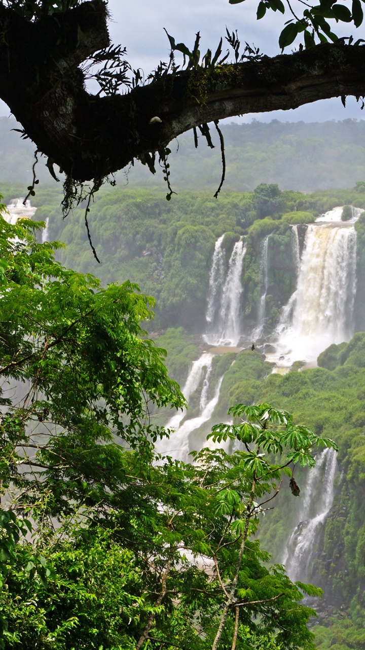 Waterfalls in The Middle of The Forest. Wallpaper in 720x1280 Resolution