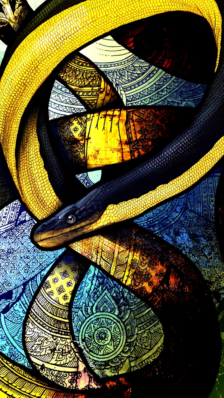 Blue Yellow and Black Snake. Wallpaper in 720x1280 Resolution