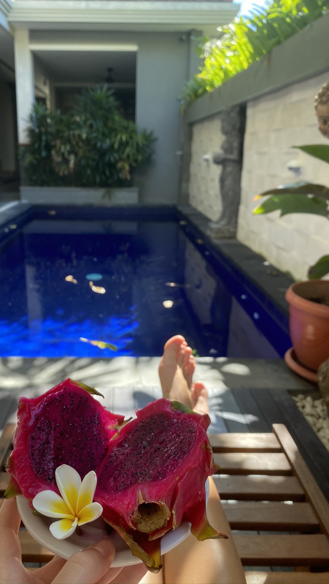 Bali, Piscina, Biología, Ciencia, Pétalo. Wallpaper in 1080x1920 Resolution