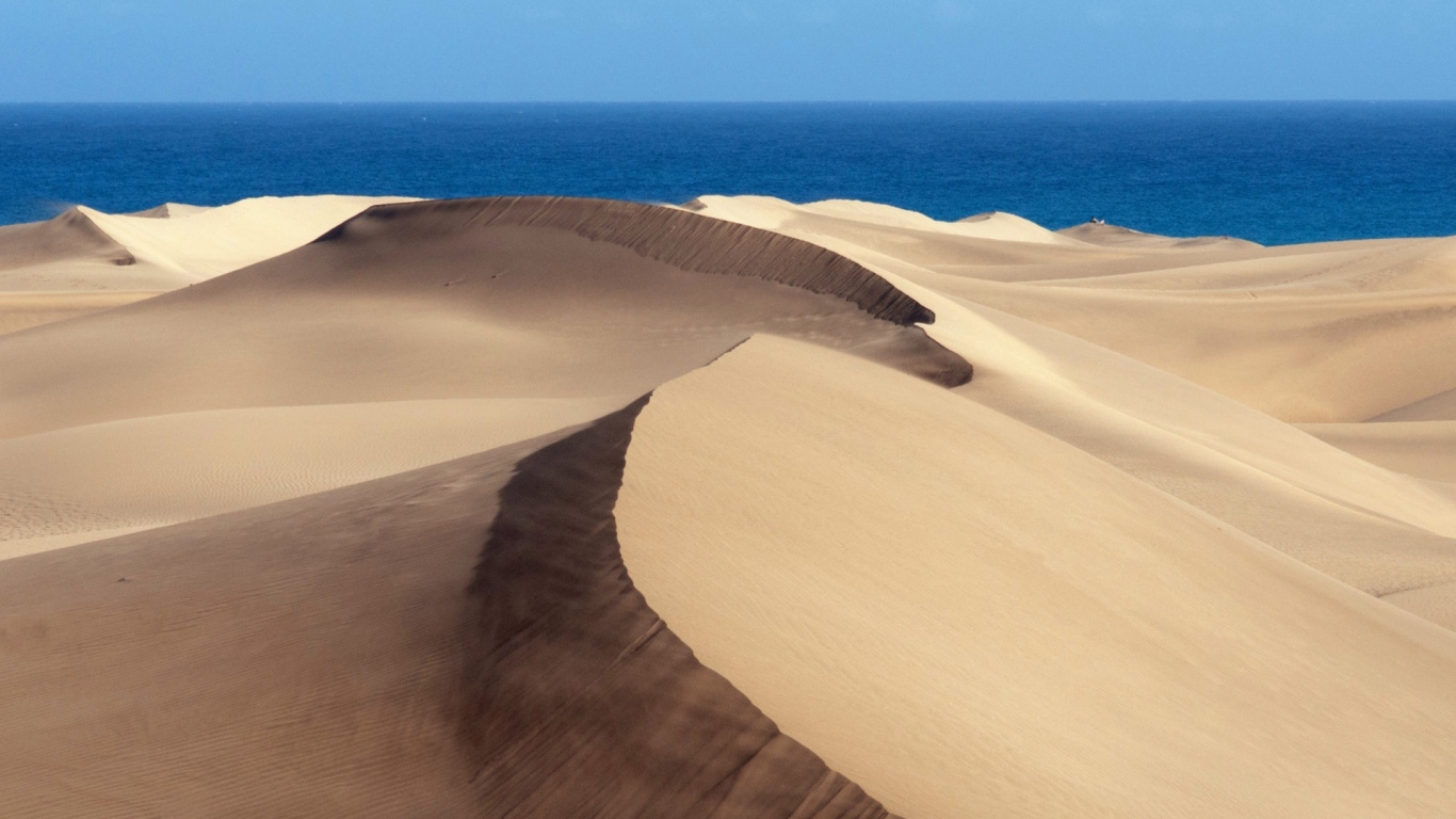 Brauner Sand in Der Nähe Des Blauen Meeres Tagsüber. Wallpaper in 1366x768 Resolution