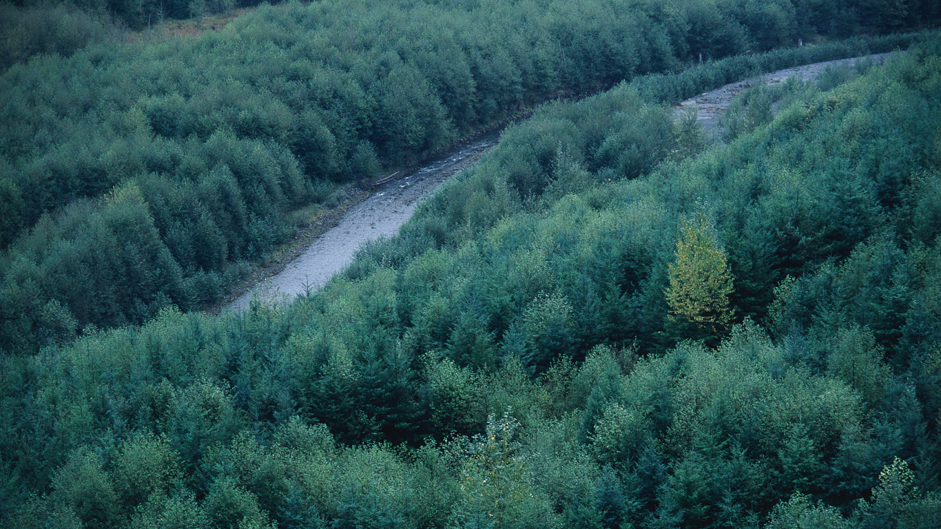 Green Trees on The Hill During Daytime. Wallpaper in 1366x768 Resolution