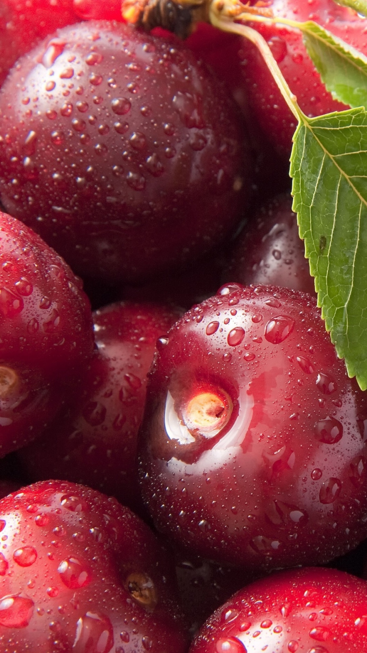 Fraises Rouges Aux Feuilles Vertes. Wallpaper in 750x1334 Resolution