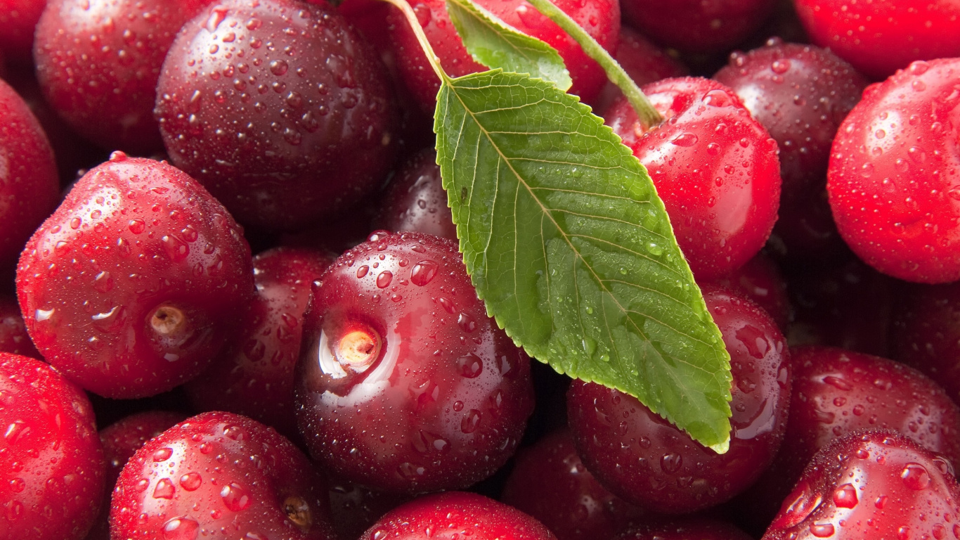 Rote Erdbeeren Mit Grünen Blättern. Wallpaper in 1366x768 Resolution