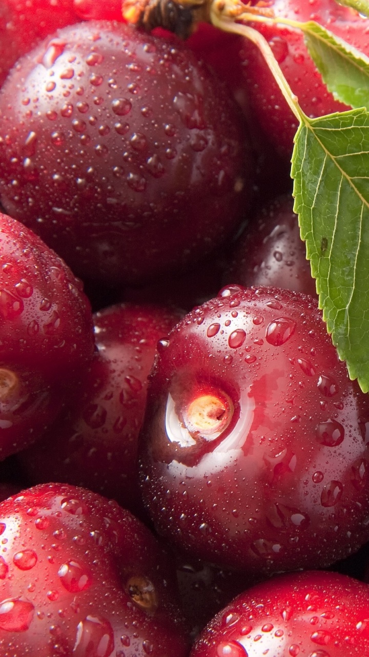 Rote Erdbeeren Mit Grünen Blättern. Wallpaper in 720x1280 Resolution