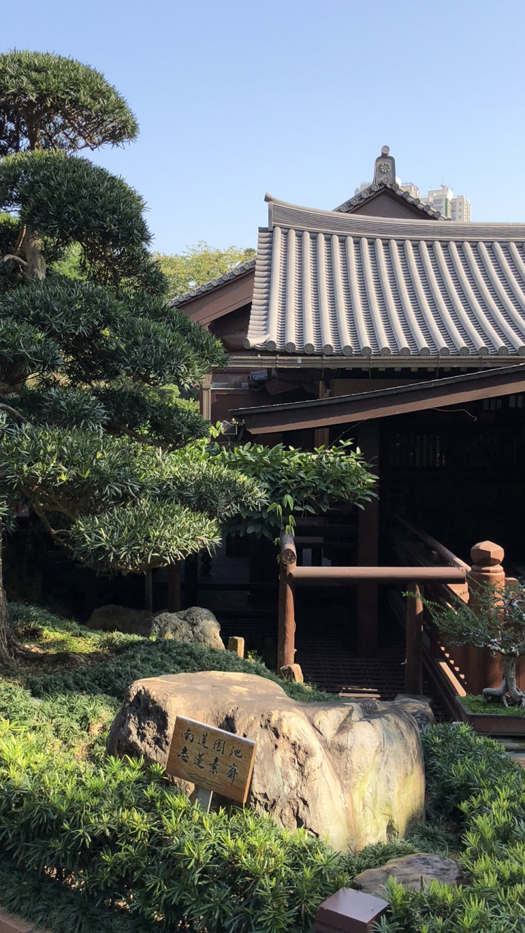 Hongkong, Baum, Bonsai, Chinesische Architektur, Japanische Architektur. Wallpaper in 750x1334 Resolution