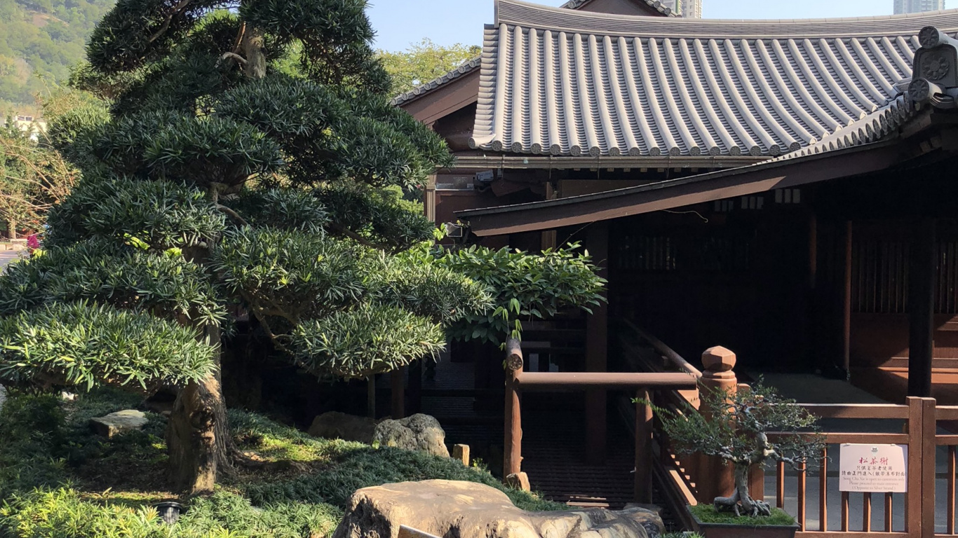 香港, 盆景, 中国建筑, 日本建筑, 屋顶 壁纸 1366x768 允许