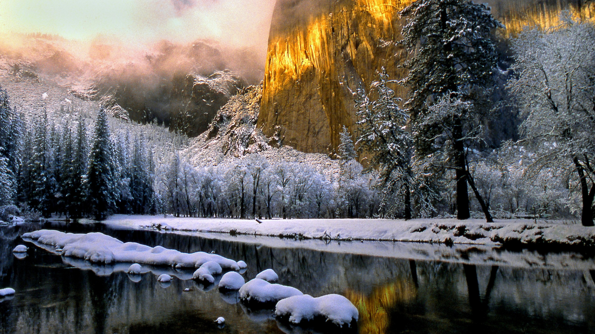Snow Covered Trees Near River. Wallpaper in 1920x1080 Resolution