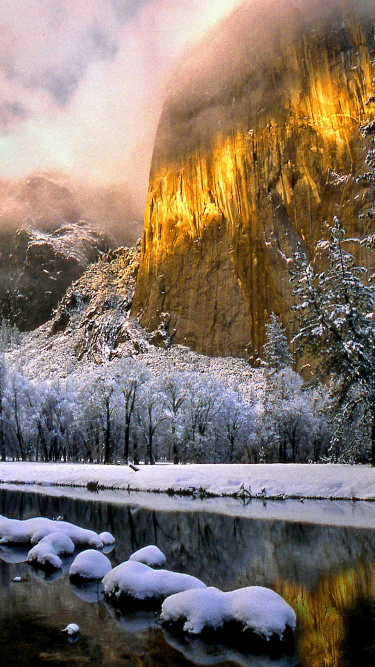 Schneebedeckte Bäume in Der Nähe Des Flusses. Wallpaper in 750x1334 Resolution