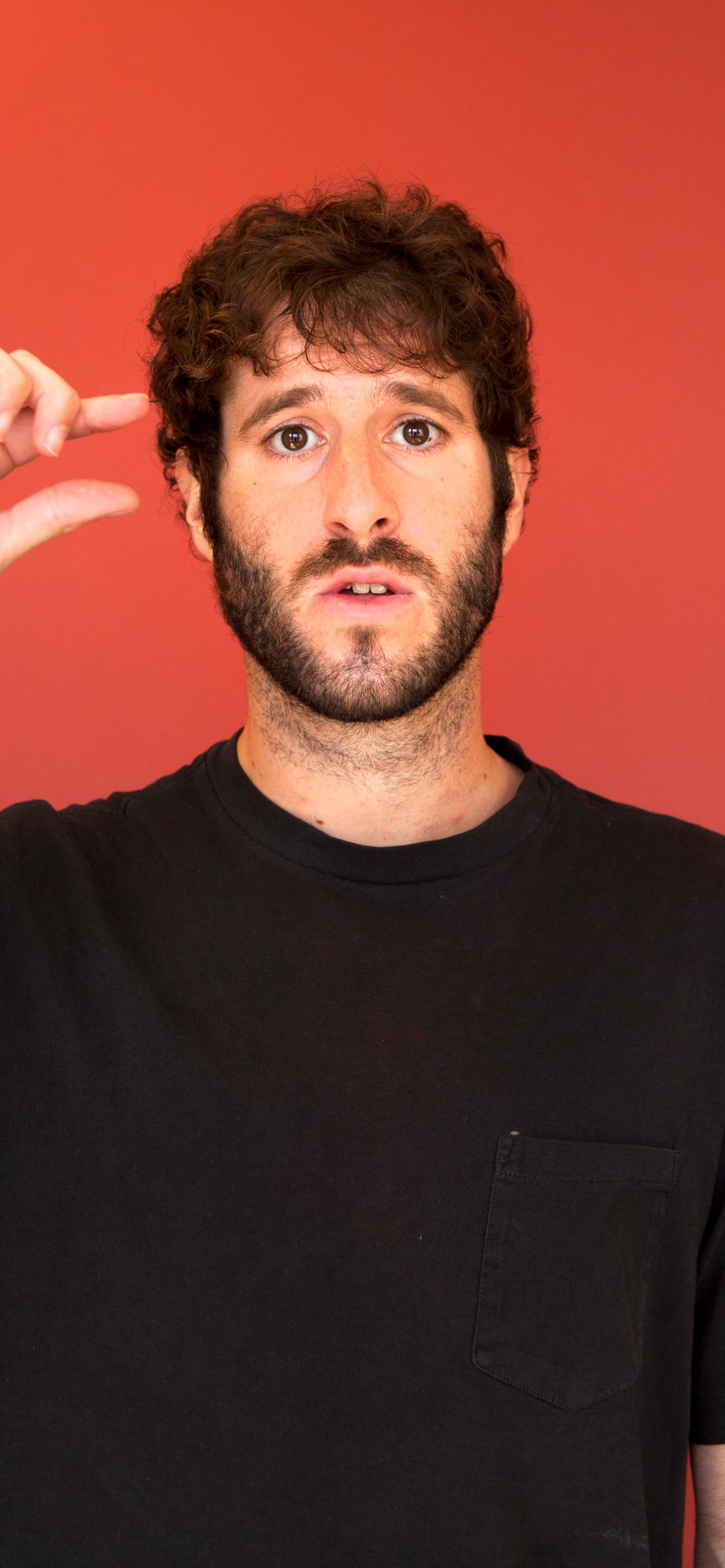 Lil Dicky, Hip Hop Music, Rapper, Professional Rapper, Cheek. Wallpaper in 1242x2688 Resolution