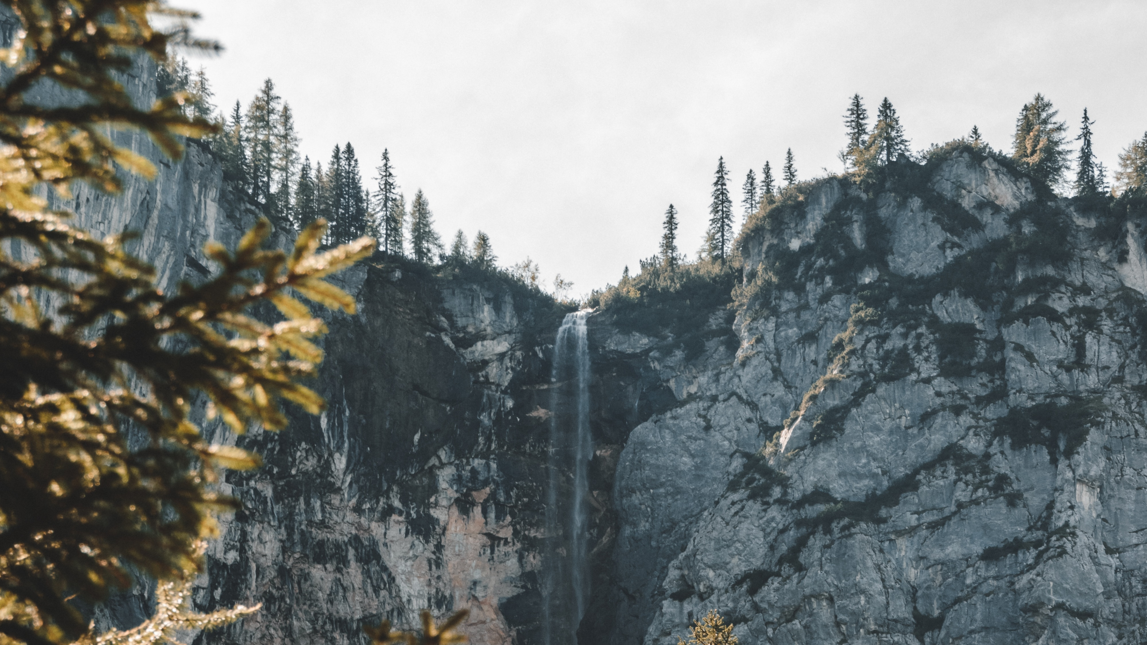 Woody Plant, Temperate Coniferous Forest, Larch, Fir, Biome. Wallpaper in 3840x2160 Resolution