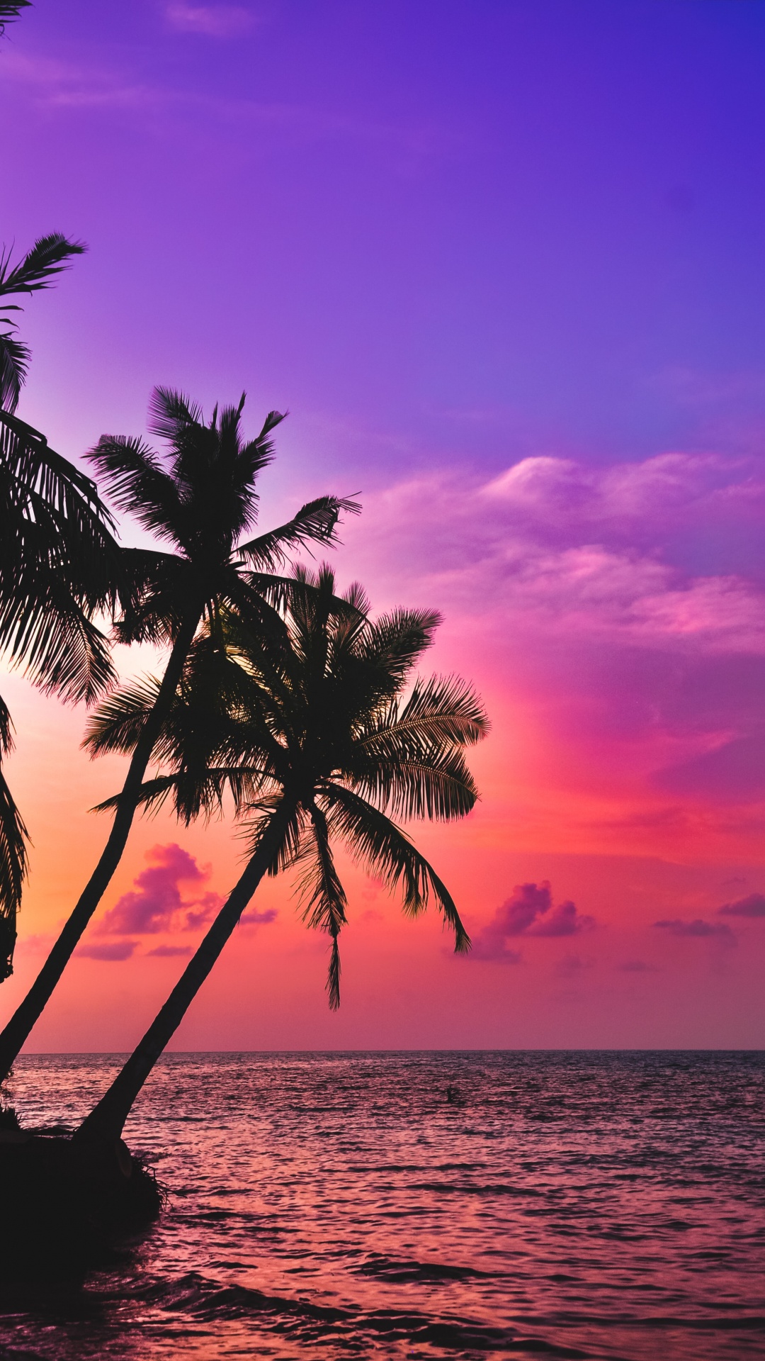 Palms, Tropics, Water, Cloud, Atmosphere. Wallpaper in 1080x1920 Resolution