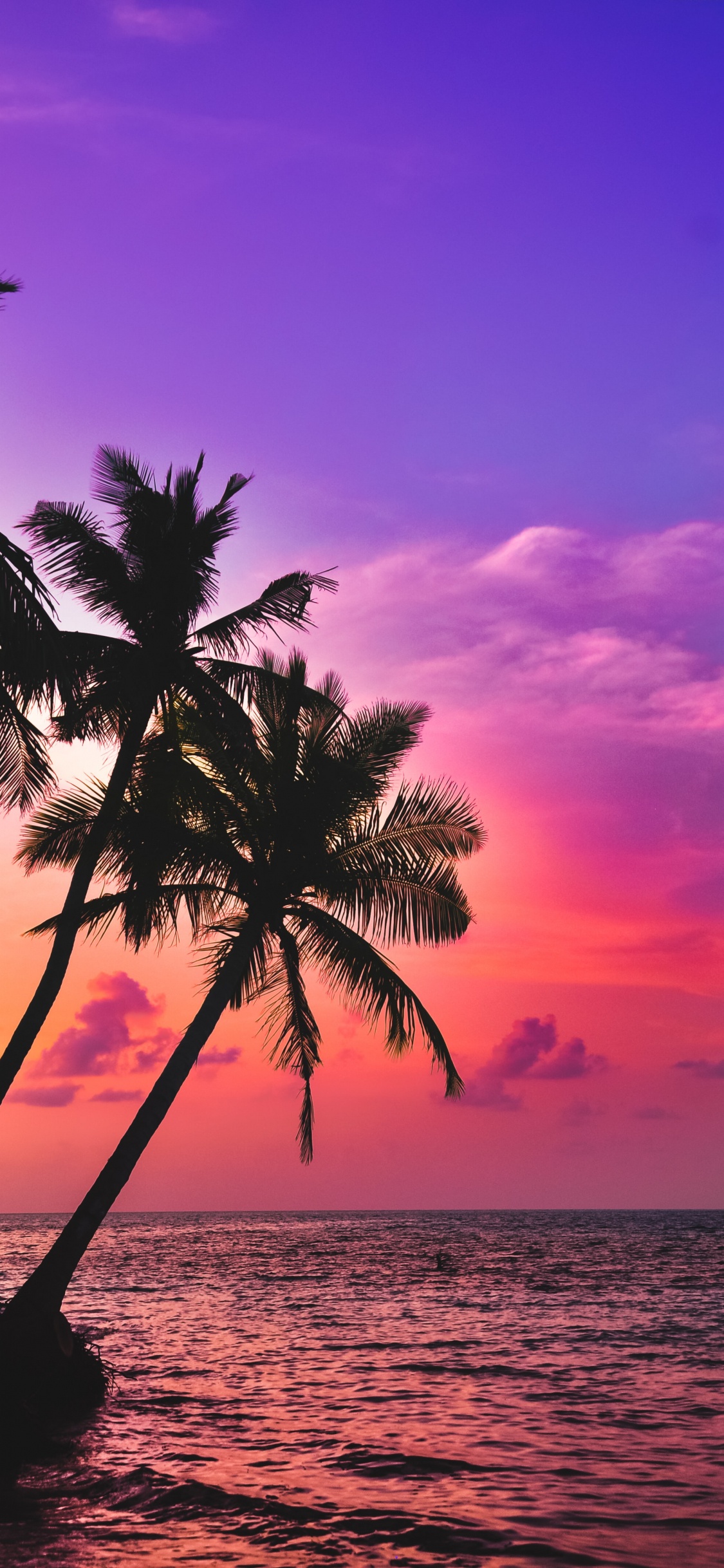 Palms, Tropics, Water, Cloud, Atmosphere. Wallpaper in 1125x2436 Resolution