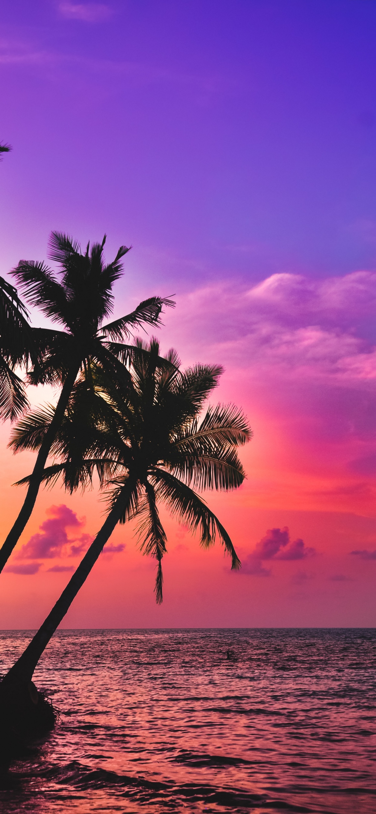 热带地区, 气氛, 余辉, Azure 壁纸 1242x2688 允许