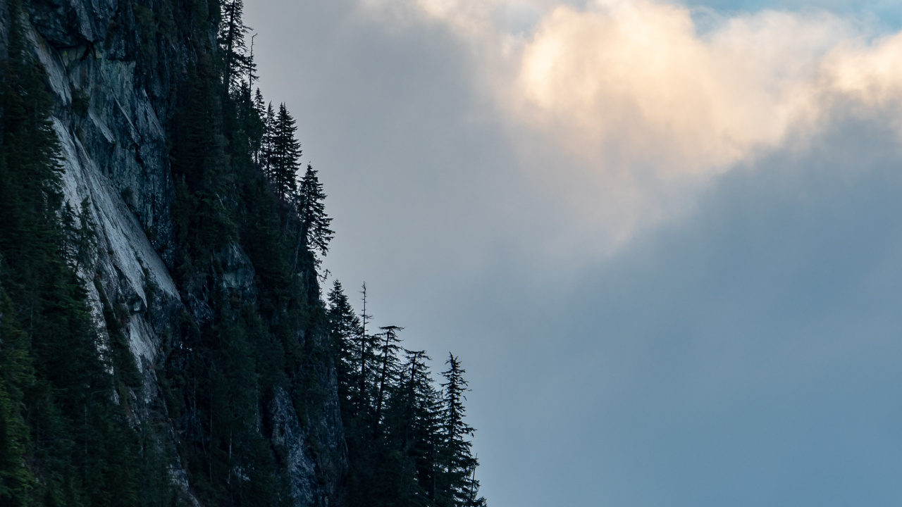 Wilderness, Mount Scenery, Fog, Cumulus, Tree. Wallpaper in 1280x720 Resolution