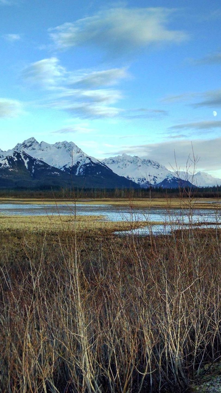 Braune Wiese in Der Nähe Des Sees Unter Blauem Himmel Tagsüber. Wallpaper in 720x1280 Resolution