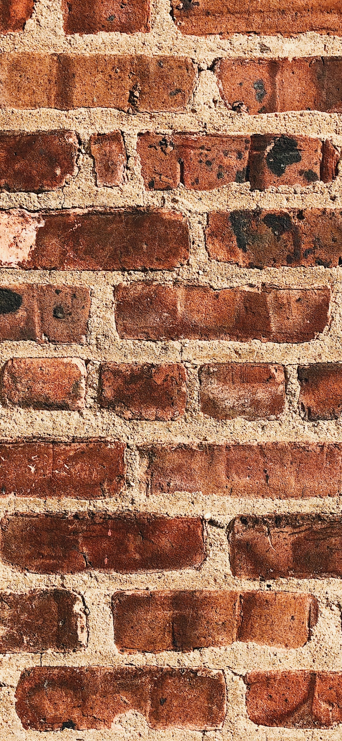 Mur de Briques Marron et Blanc. Wallpaper in 1125x2436 Resolution