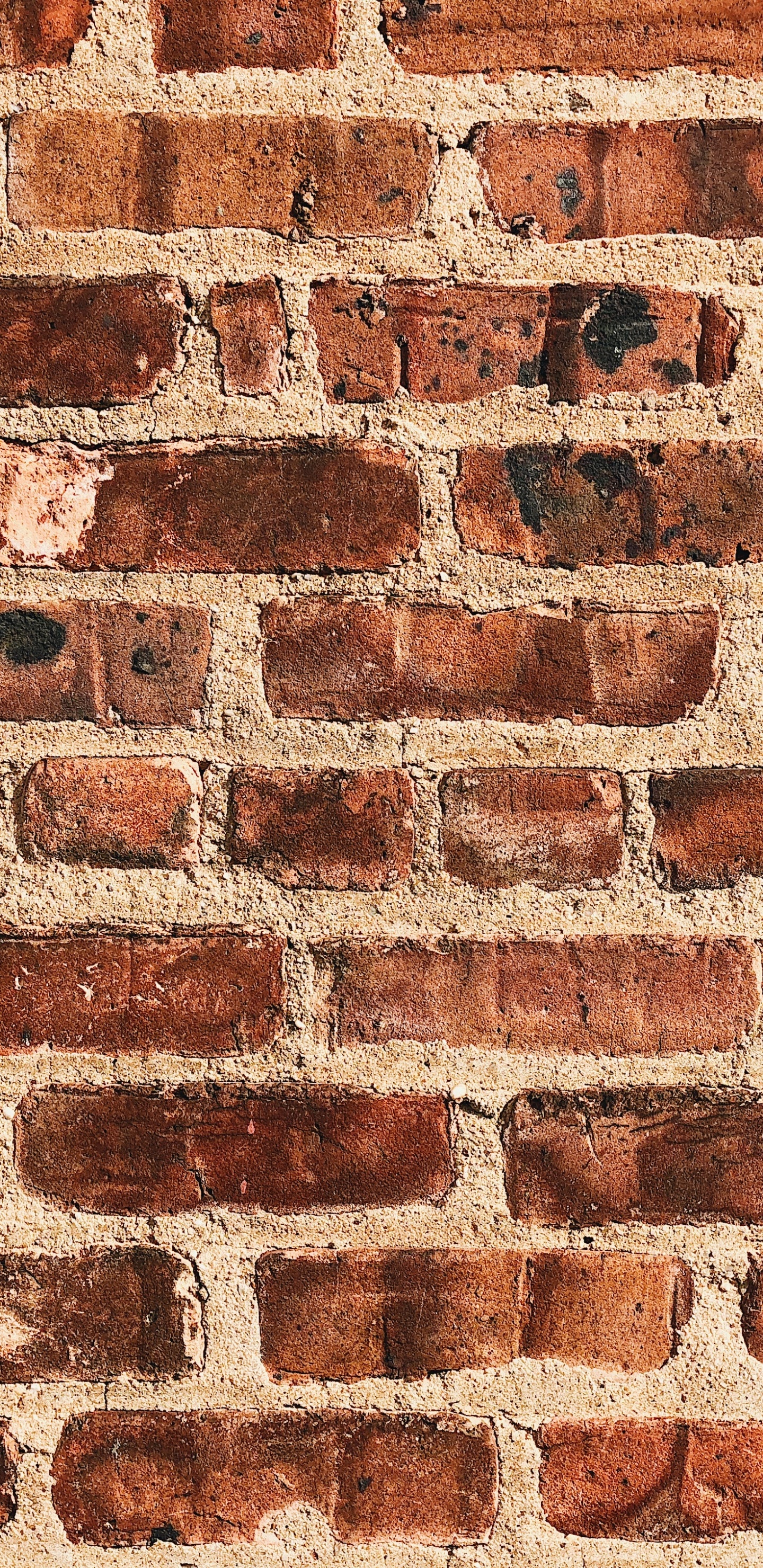 Mur de Briques Marron et Blanc. Wallpaper in 1440x2960 Resolution