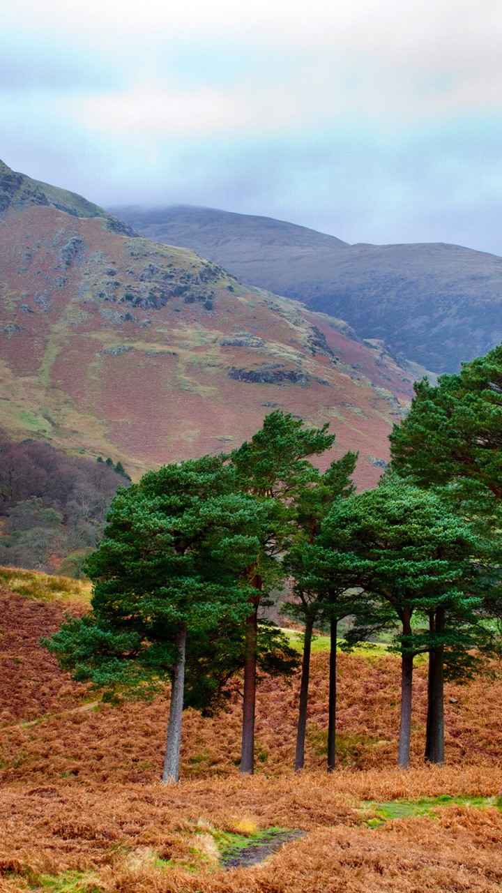 性质, 多山的地貌, 高地, 山站, 荒野 壁纸 720x1280 允许