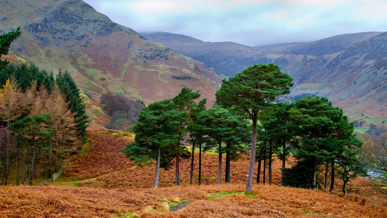 Green Trees on Brown Grass Field Near Mountain During Daytime. Wallpaper in 1280x720 Resolution