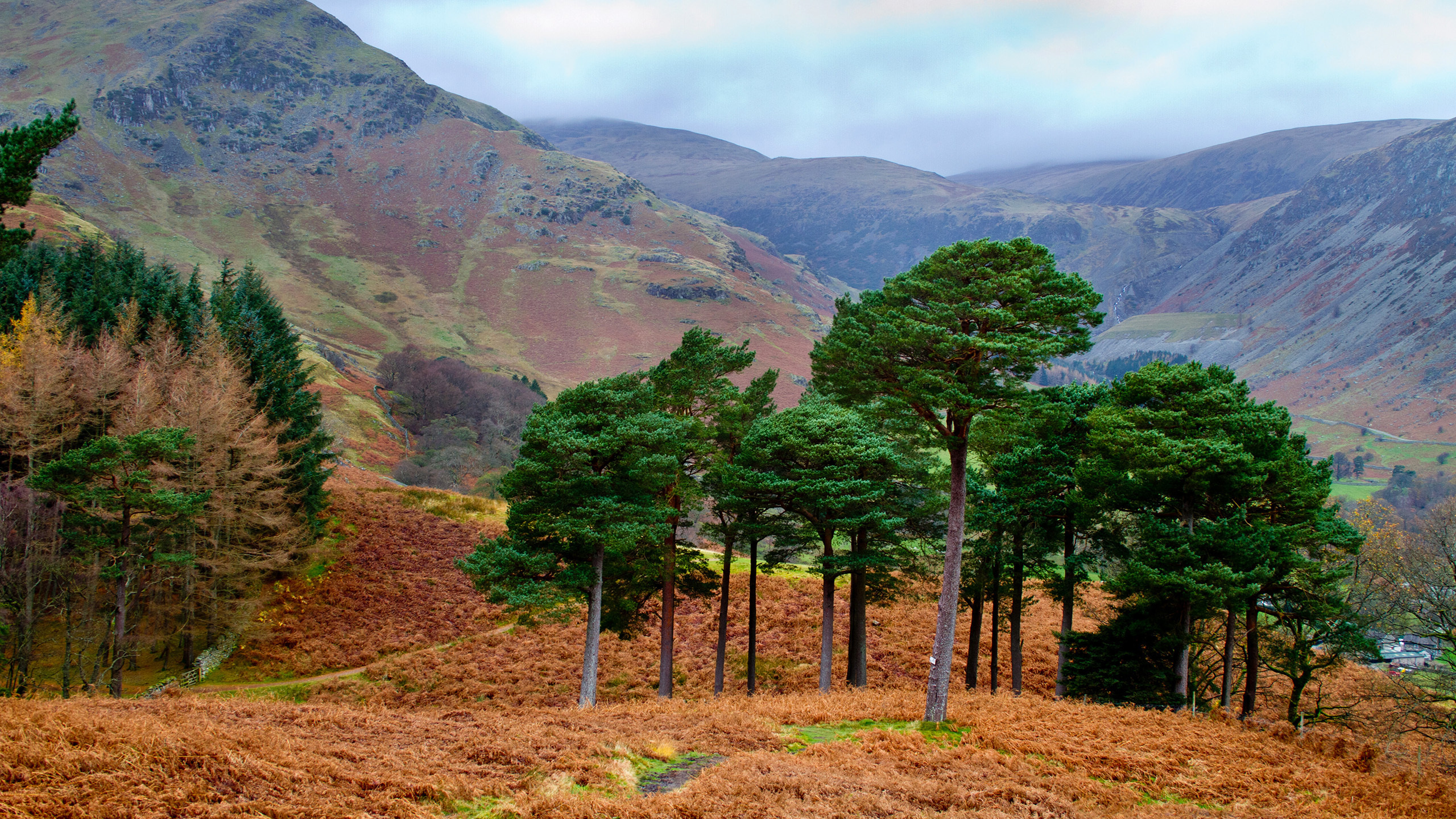 Green Trees on Brown Grass Field Near Mountain During Daytime. Wallpaper in 2560x1440 Resolution