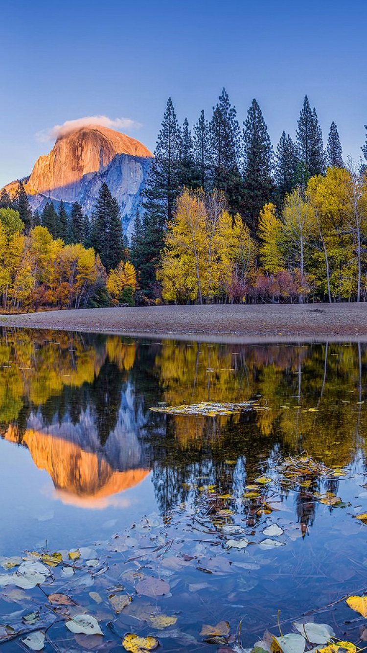 Grüne Bäume in Der Nähe Von See Und Berg Unter Blauem Himmel Tagsüber. Wallpaper in 750x1334 Resolution