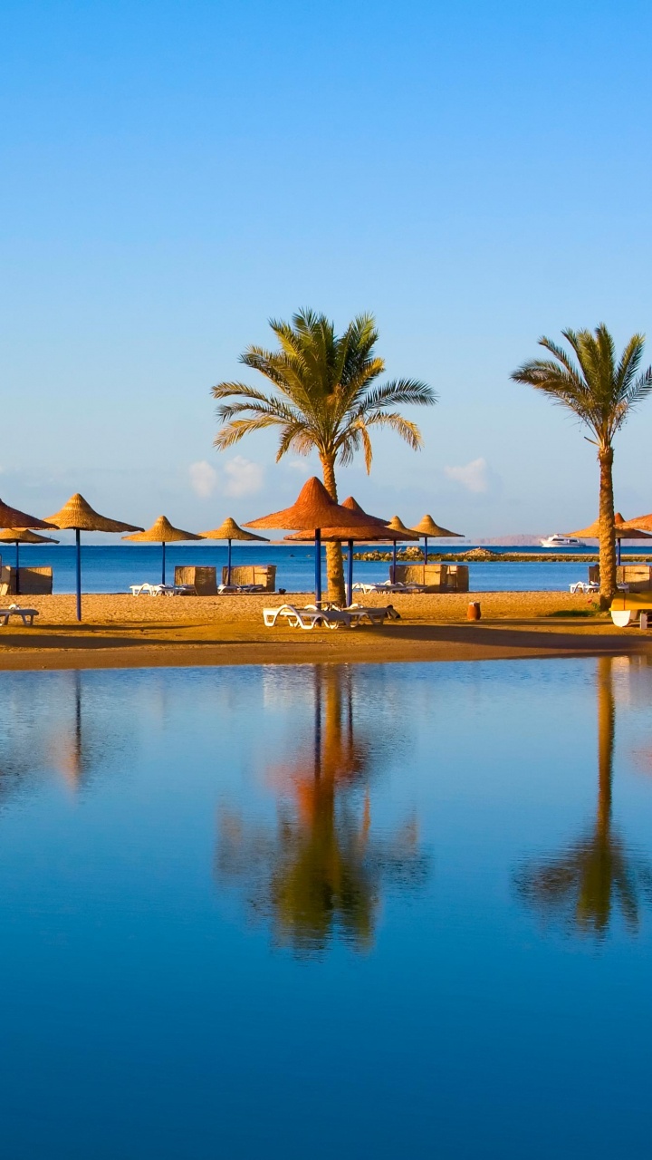 Brauner Holzsteg am See Tagsüber. Wallpaper in 720x1280 Resolution