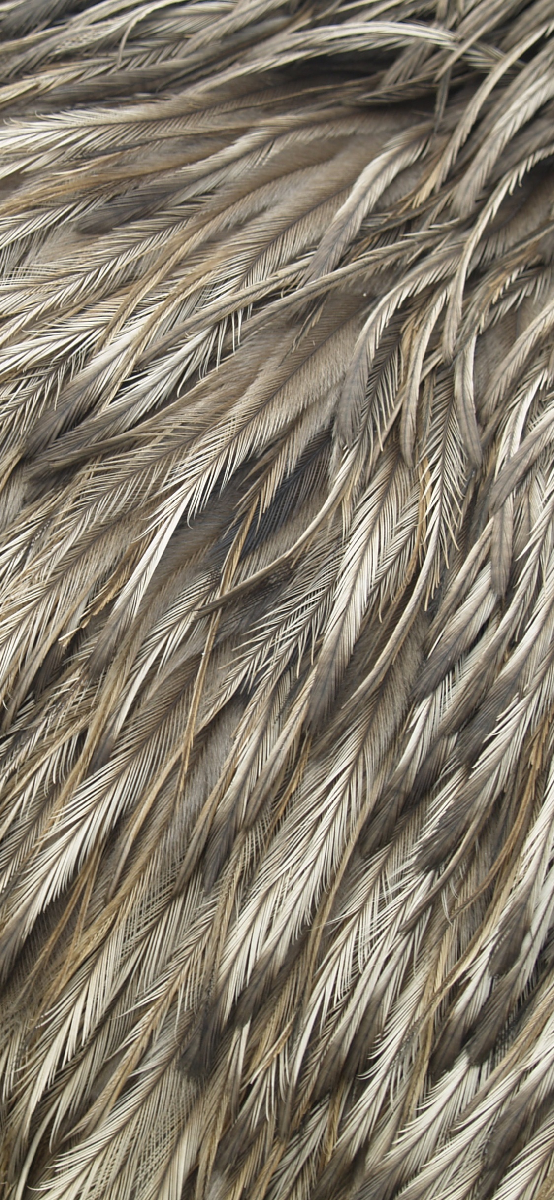 Brauner Und Schwarzer Pelztextil. Wallpaper in 1125x2436 Resolution