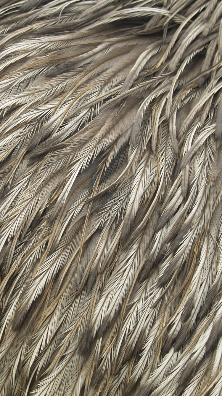 Brown and Black Fur Textile. Wallpaper in 750x1334 Resolution