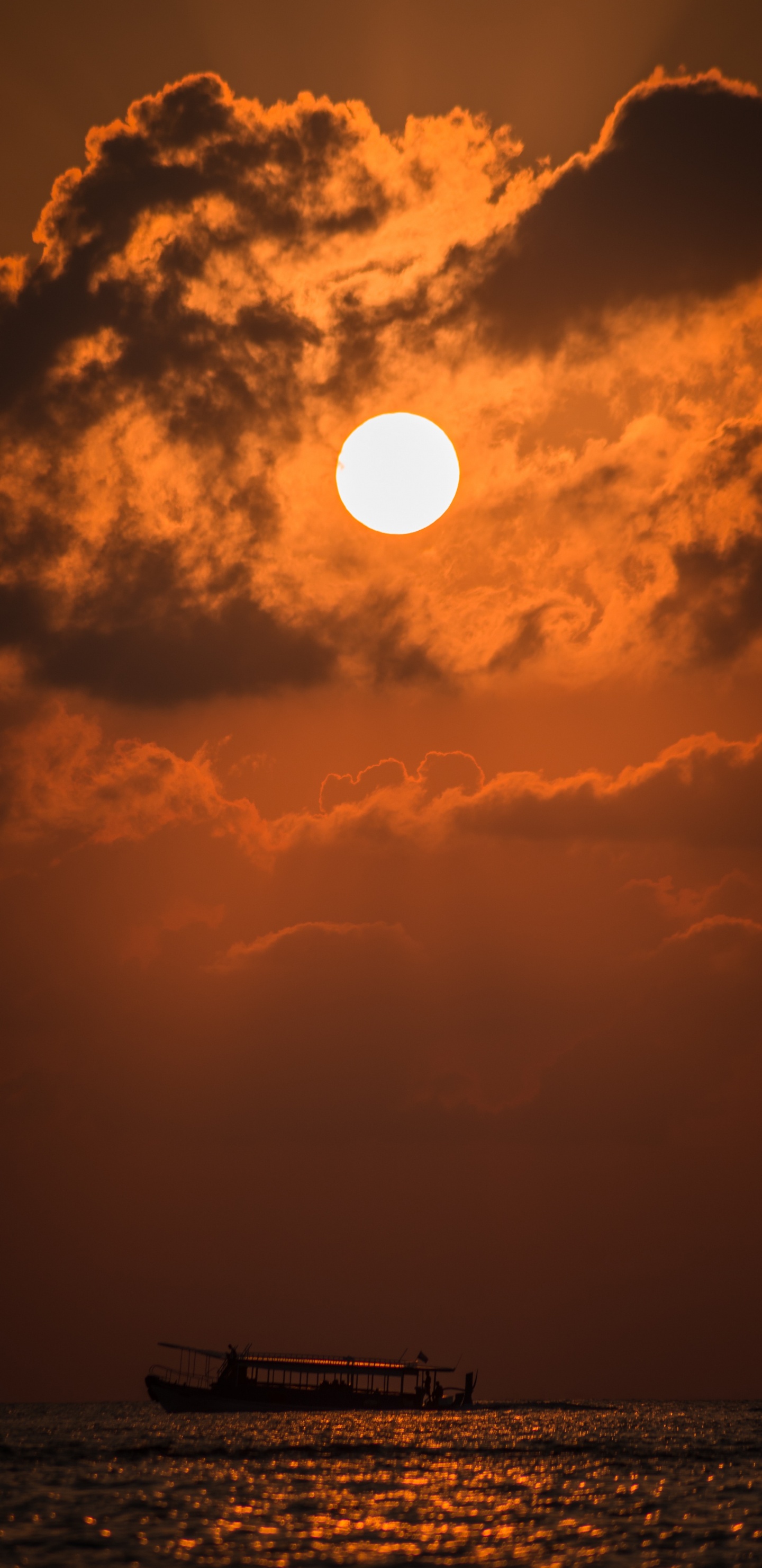 日落, 余辉, 太阳, 橙色, 黄昏 壁纸 1440x2960 允许
