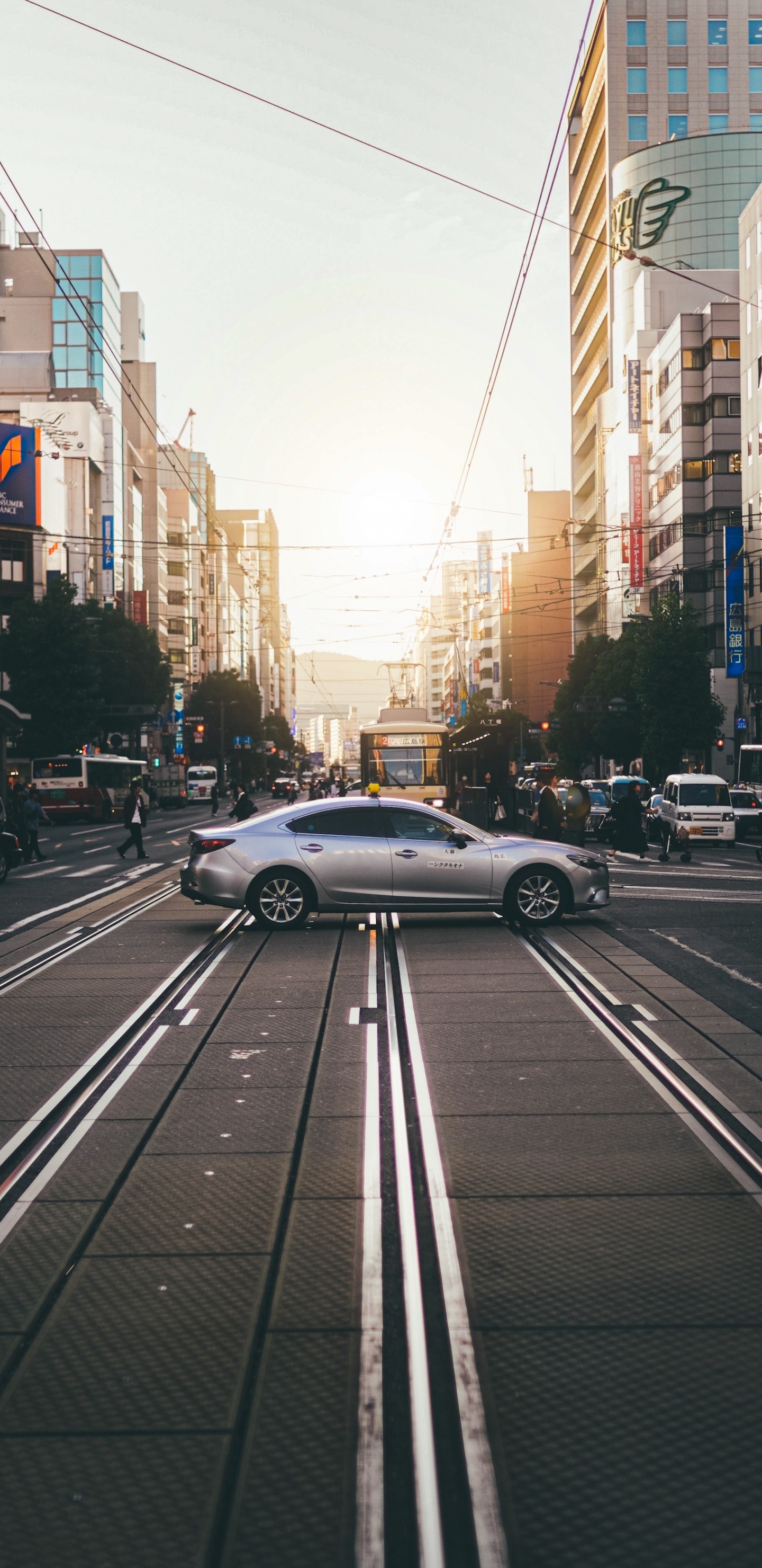 Cars, Wheel, Tire, Daytime, Building. Wallpaper in 1440x2960 Resolution