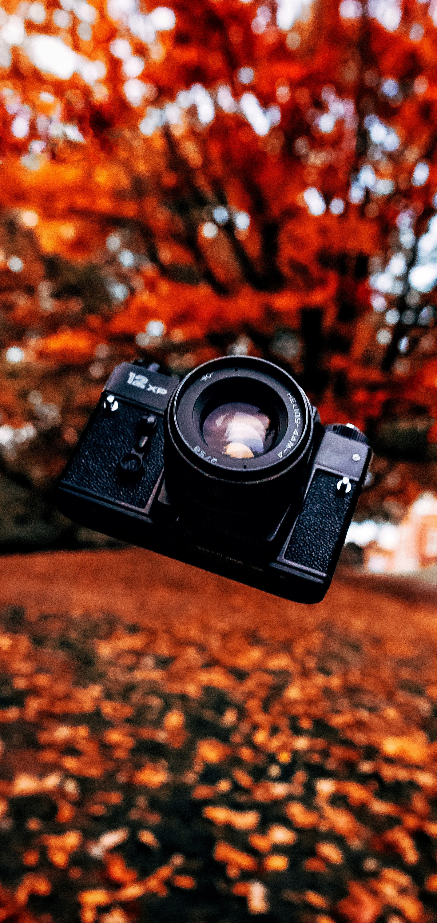 The 10 best compact cameras, according to National Geographic | National  Geographic