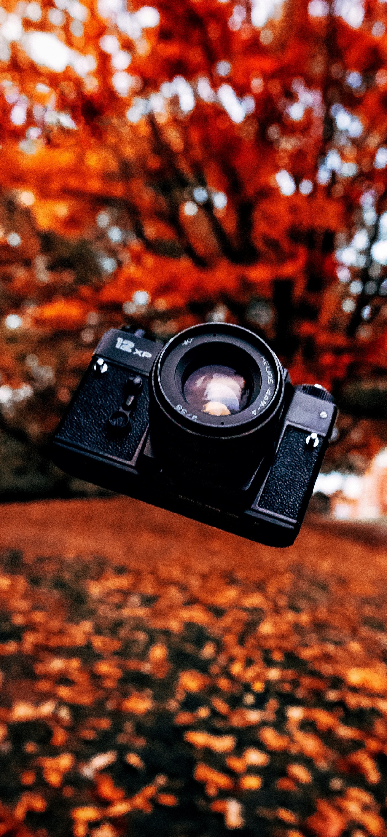 de Cerca, Cámara Digital, Camara, Cámara Reflex, Lente de la Cámara. Wallpaper in 1242x2688 Resolution