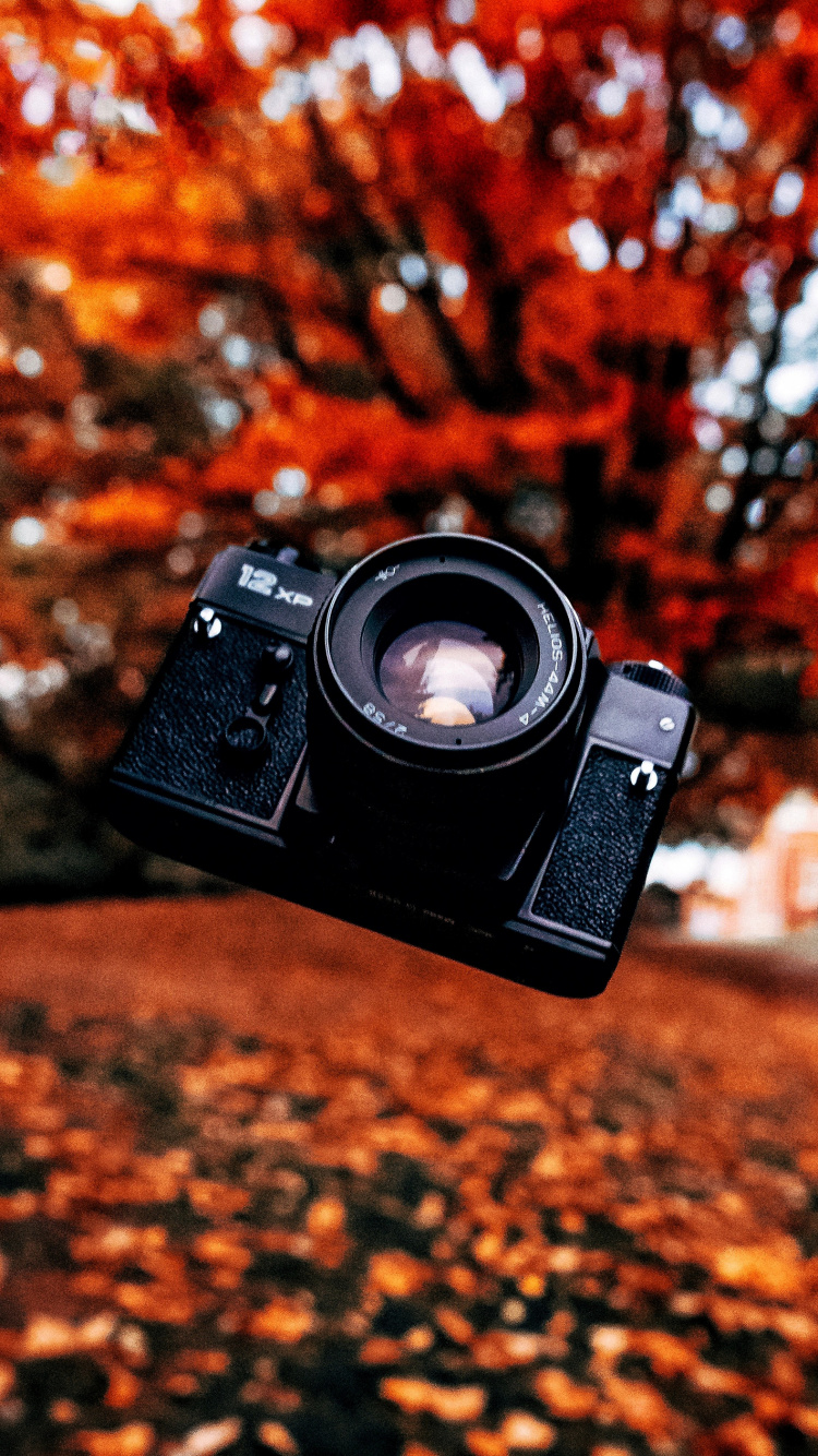 de Cerca, Cámara Digital, Camara, Cámara Reflex, Lente de la Cámara. Wallpaper in 750x1334 Resolution
