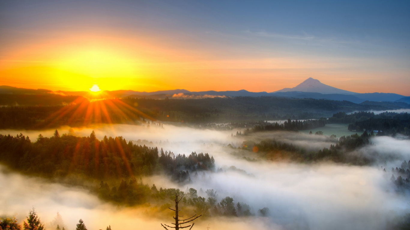 Green Trees Near Body of Water During Daytime. Wallpaper in 1366x768 Resolution
