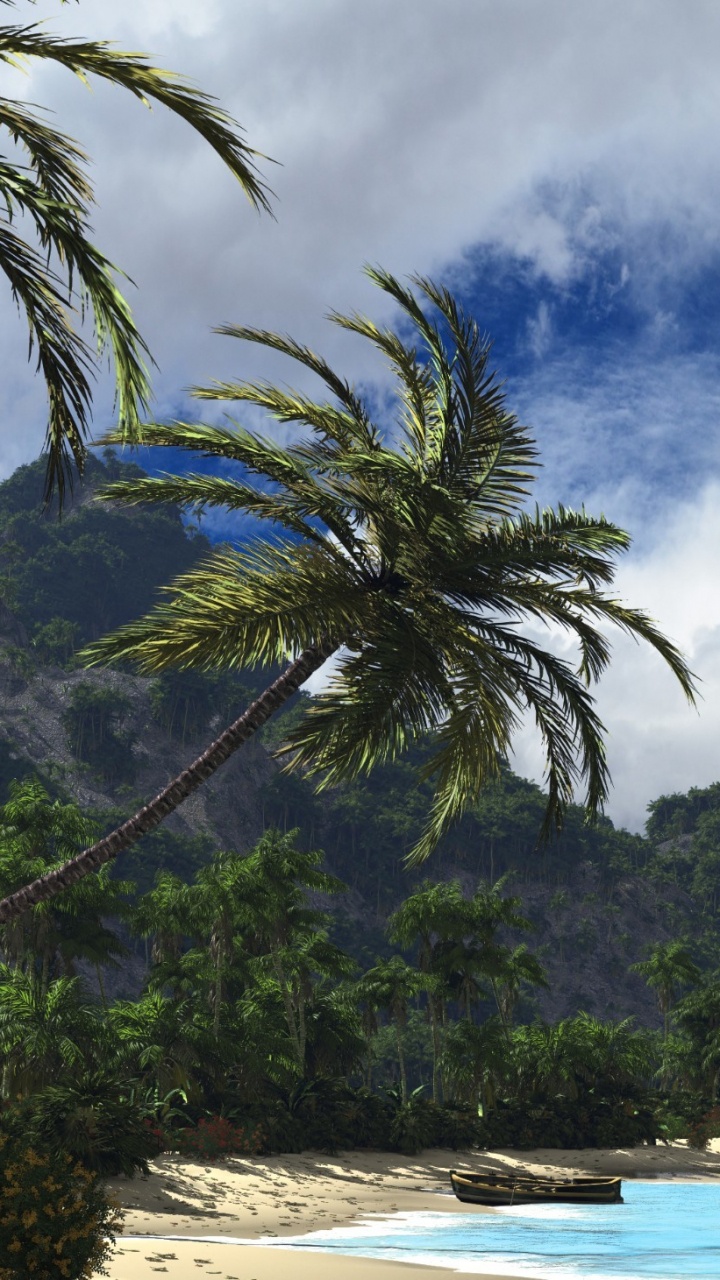 热带地区, 棕榈树, 性质, 大海, 植被 壁纸 720x1280 允许