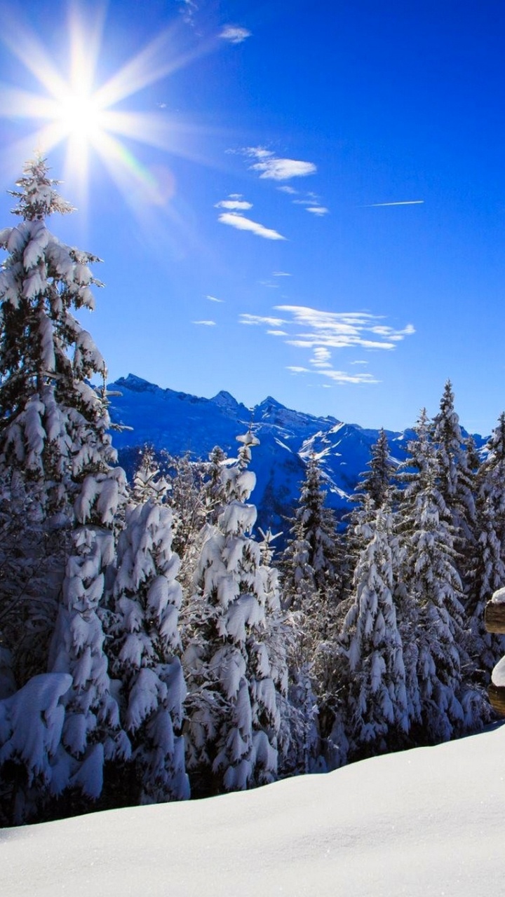 Schneebedeckte Bäume Und Berge Tagsüber. Wallpaper in 720x1280 Resolution