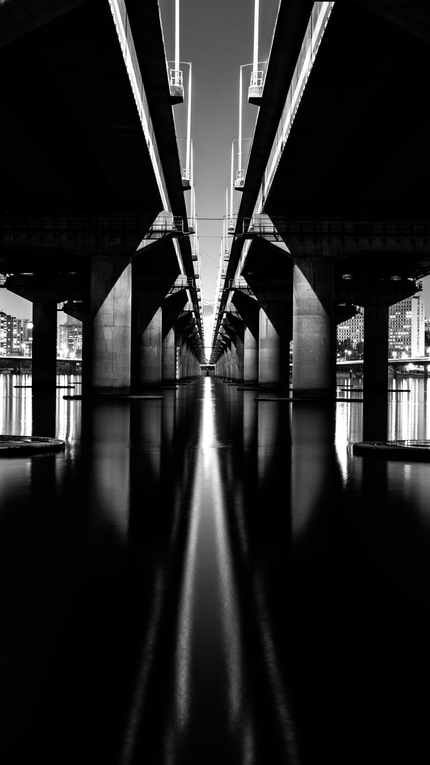 Foto en Escala de Grises Del Puente Sobre el Agua. Wallpaper in 1440x2560 Resolution