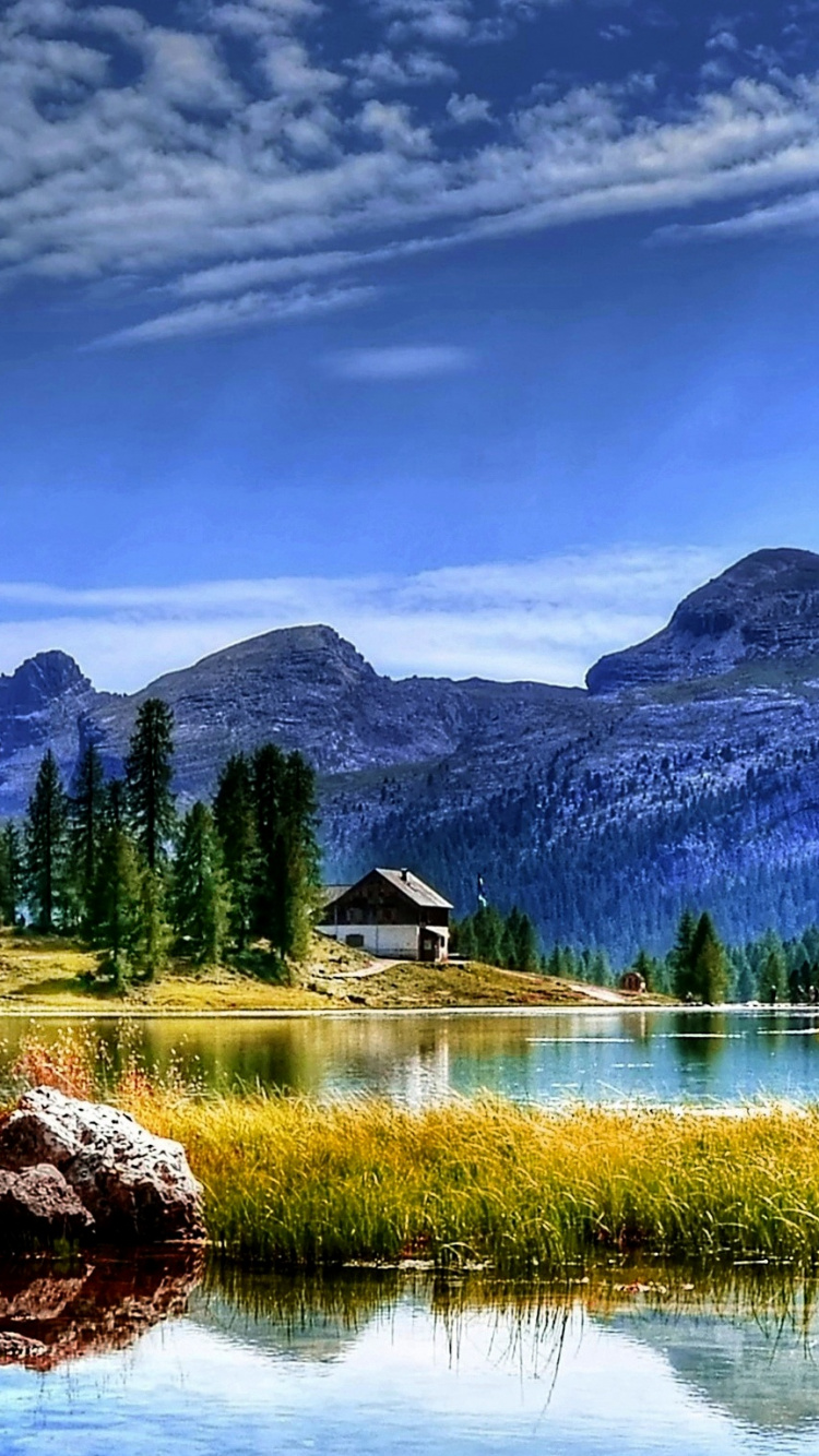 Grüne Bäume in Der Nähe Des Sees Unter Blauem Himmel Tagsüber. Wallpaper in 750x1334 Resolution