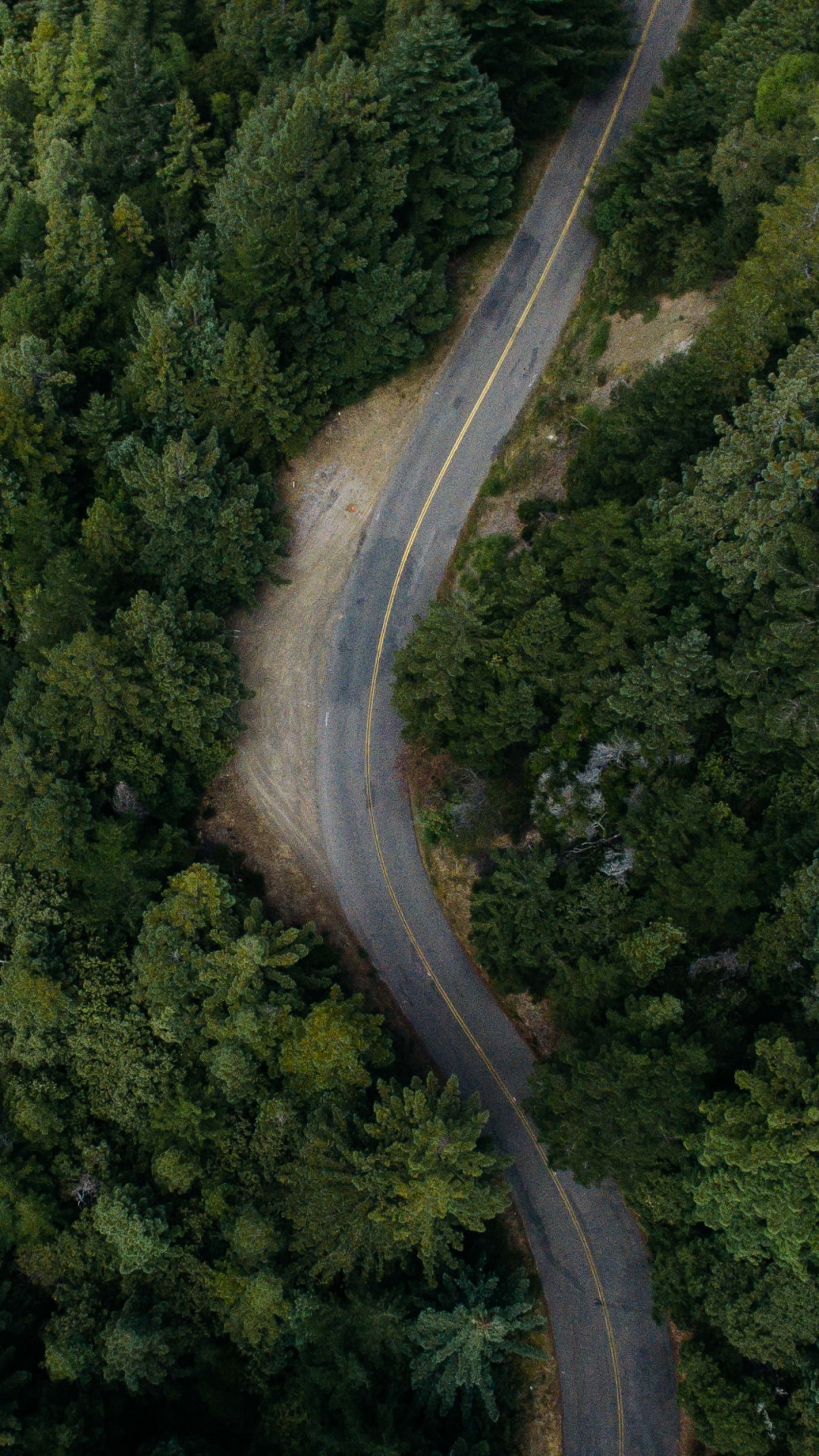 Aerial View of Road in The Middle of Green Trees. Wallpaper in 1080x1920 Resolution