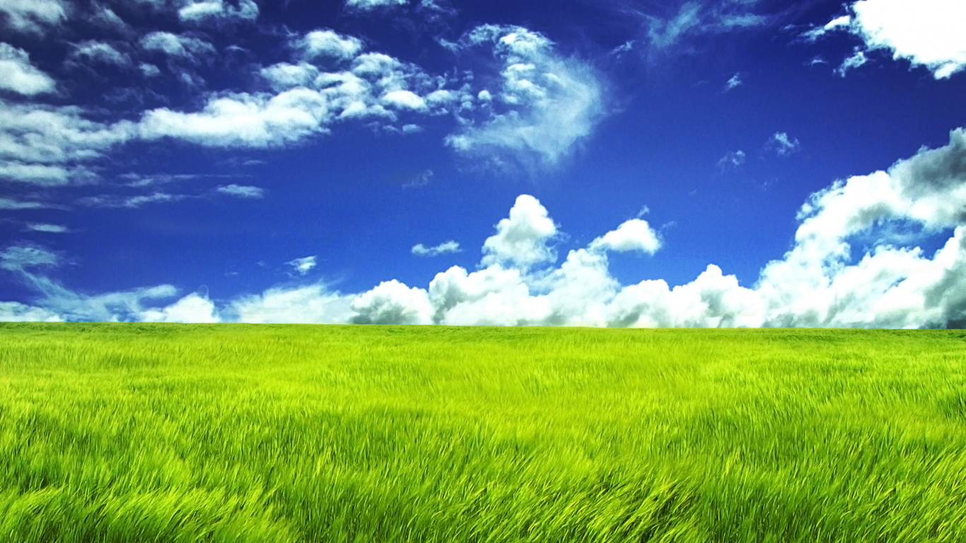 Campo de Hierba Verde Bajo un Cielo Azul y Nubes Blancas Durante el Día. Wallpaper in 1366x768 Resolution