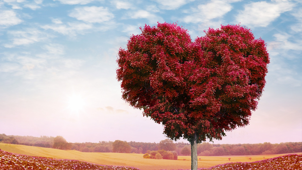 Tree Heart, Heart, Tree, Red, Nature. Wallpaper in 1280x720 Resolution